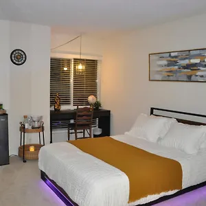 Private & Bathroom In Shared Oceanfront Home, Marina Del Rey Homestay